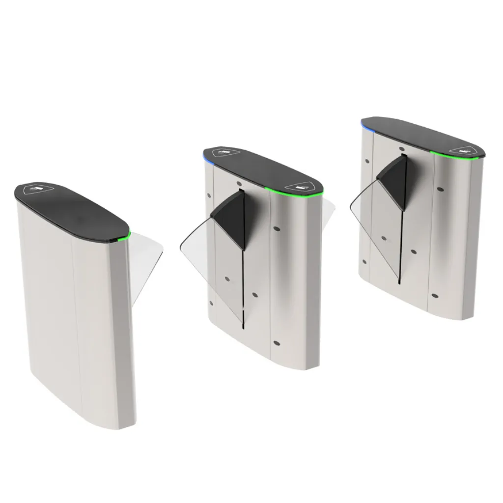 HG 02 speed gate in Dubai UAE